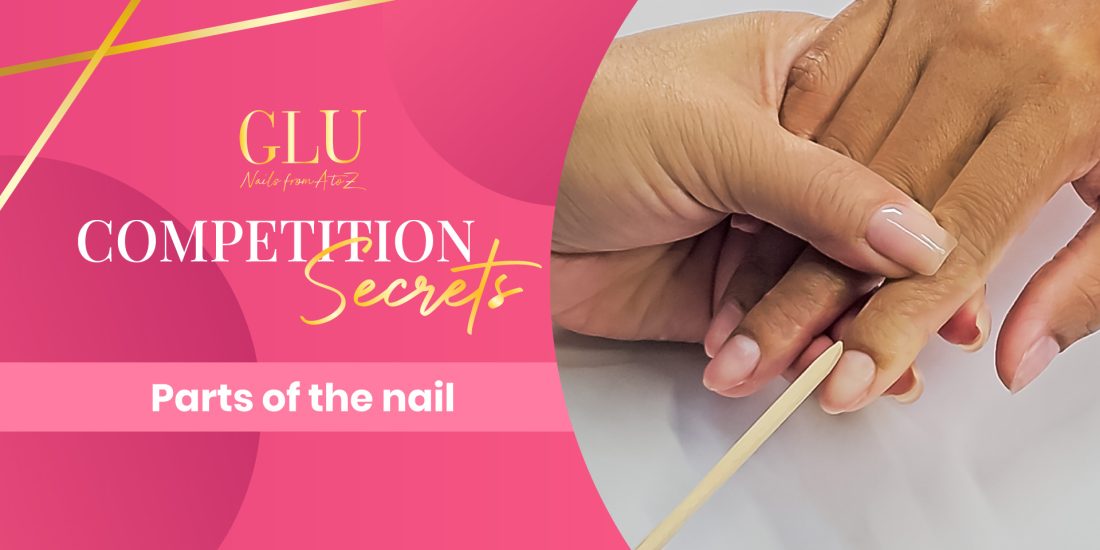 GlossaryLive University Competition Secrets Parts of the Nail by Alisha Rimando