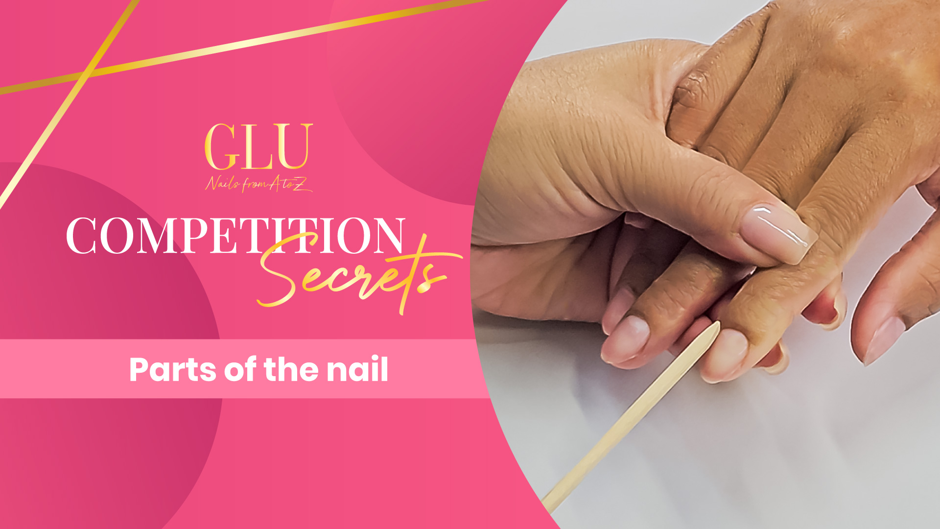 GlossaryLive University Competition Secrets Parts of the Nail by Alisha Rimando