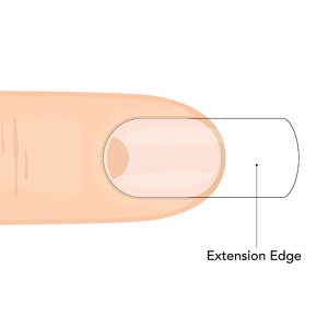 GlossaryLive Glossary Term Extension Edge